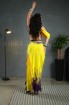 Professional bellydance costume (Classic 300 A_1)